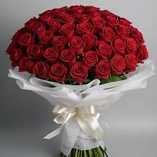 Букет 101 Красная роза Блэк Мэджик в Зелёном городе