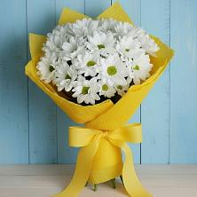 Букет цветов из:  Хризантемы в Зелёном городе