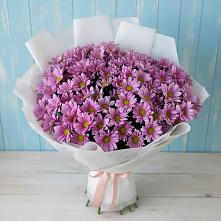 Букет цветов из:  Хризантемы в Зелёном городе