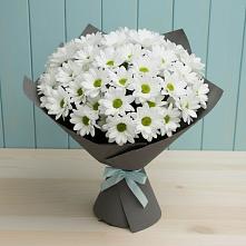 Букет цветов из:  Хризантемы в Зелёном городе