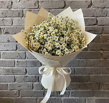 Букет цветов из:  Ромашки в Зелёном городе