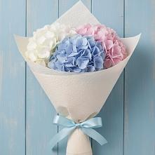 Букет цветов из:  Гортензия в Зелёном городе