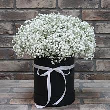 Цветочная композиция из Гипсофила в шляпной коробке в Зелёном городе