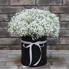 Цветочная композиция из Гипсофила в шляпной коробке в Зелёном городе