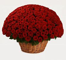 Премиум букет из: Розы в Зелёном городе