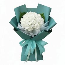 Букет цветов из:  Гортензия в Зелёном городе